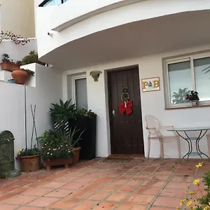 Palm In La Duquesa , Manilva Spain